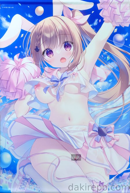 【レビュー】 ゆき恵 B2タペストリー 「【ゆき恵先生 猫りん堂4thアニバーサリー】Wスエードタぺストリー 25年10月31日新規グッズ 成年向け」 猫りん堂